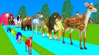 Paint Animals Duck,Tiger,Cow,Lion,Buffalo,Gorilla,Elephant,Dinosaur Fountain Crossing Animal Game Wa