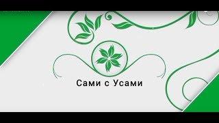 Декоративный огород | Сами с усами