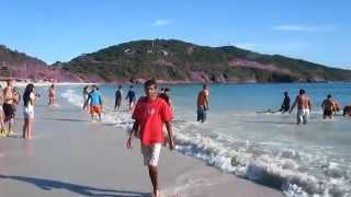 30 de delfini ajunsi la mal au fost salvati de localnicii din Arraial do Cabo, Brazilia