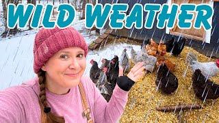 Alaska's Wild Weather! Embracing the Elements on Our Homestead Adventure!