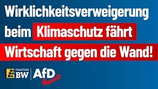 Wirklichkeitsverweigerung beim Klimaschutz fährt Wirtschaft gegen die Wand!