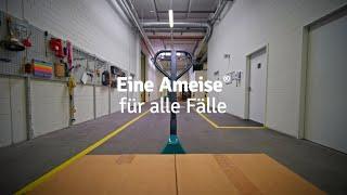 (D)eine Ameise® für alle Fälle | Exklusiv im Jungheinrich PROFISHOP