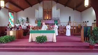 St. Thomas More Catholic Church Washington DC Live Stream