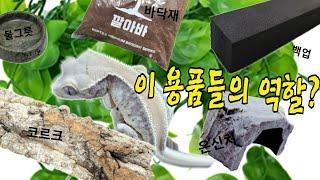 크레 키우는데 필요한게 뭐이리 많어? 다 장사속이다!