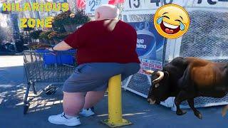 Funny & Hilarious People Life  #71 | TRY NOT TO LAUGH  | Instant Regret Fails Compilation 2024