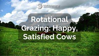 Rotational Grazing of Cattle - Satisfied Cows are Happy Cows