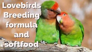 Softfood for lovebirds | Quick and simple | best for breeding season