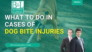 Dog Bite Lawyer Greenville SC | Greenville Dog Attack Lawyer