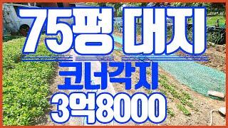 창원토지매매 N202219 3억8000 대지 75평 코너각지위치