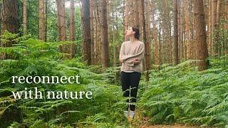 Nature Therapy - The Art of Rewilding Yourself| Camping & Nature Vlog