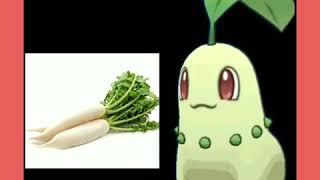 What is Chikorita?