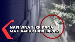 Napi WNA Terpidana Mati Kabur, Komisi III DPR: Kalapas Lalai dan Harus Tanggung Jawab!