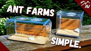 How to make an Ant Farm | DIY Sand Formicarium