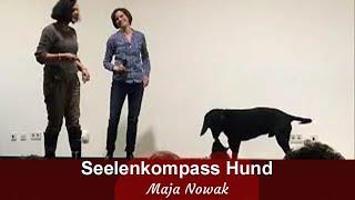 Seelenkompass Hund -  seltene Livemitschnitte - von Maja Nowak