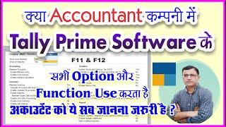How Accountant Work in Tally Prime | How Manage Accounting Work By Accountant in Tally | Tally Prime