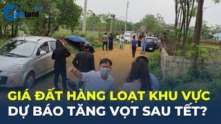 Sau Tết, giá đất của hàng loạt khu vực, tỉnh thành phía Nam được dự báo TĂNG CAO | CafeLand