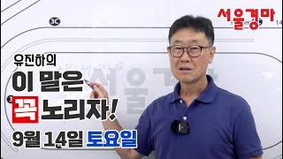 유진하의 이 말은 꼭 노리자!(2024년 9월 14일 토요일)