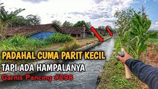 LIHAT PEMANCING INI CASTING DI PARIT KECIL‼️STRIKE IKAN HAMPALA DAN IKAN GABUS