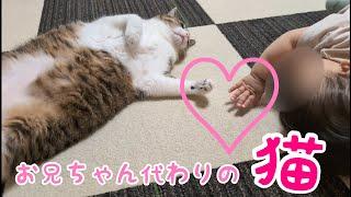 お兄ちゃん代わりの猫が大好きな1歳女児。vol.1092