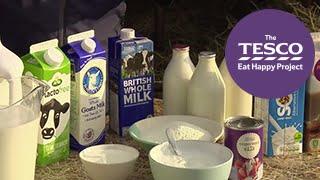 Magnificent Milk: products and varieties