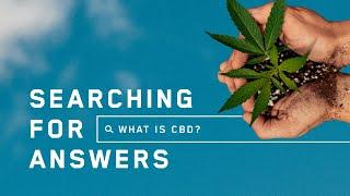 Experts Live: What is CBD?