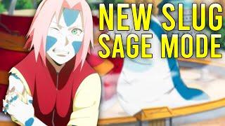 Sakura Sage Mode REVEALED?!