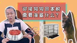 【养狗小白入门指南】狗狗回家之前，你要准备些什么东西呢？！