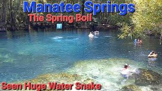 20 Miles From Otter Creek Fl Is Manatee Springs State Park.