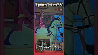 tejal studio bavdi foto graphy Tejaji Maharaj ka best video@tejalstudiobavdi2.1 @cmarulho