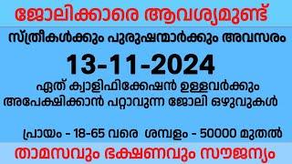 13-11-2024 ഇന്ന് വന്നിട്ടുള്ള തൊഴിലവസരങ്ങൾ | Kerala job vacancy | Ernakulam jobs | job vacancy 2024