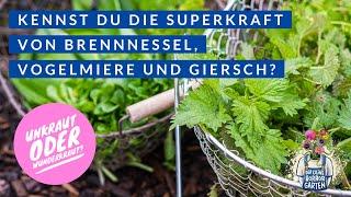 Kennst du die Superkraft von Brennnessel, Vogelmiere und Giersch?