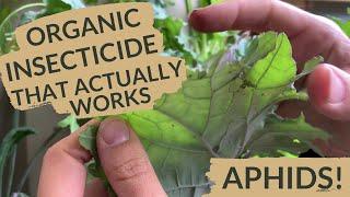 Vegan Organic Insecticide for Vegetable Garden