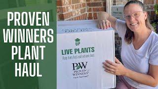 Proven Winners Plant Haul 2022  || Proven Winners 2022 || Plant Haul Unboxing || Zone 8