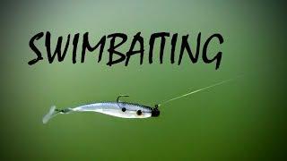 Swimbait Fishing Guide (Beginner to Expert)