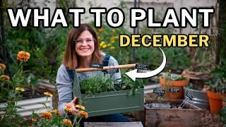 DECEMBER PLANTING GUIDE: Top Veggies, Flowers, and Herbs for Your Winter Garden