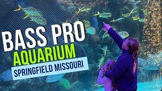 Wonders Of Wildlife Aquarium Bass Pro Springfield Missouri