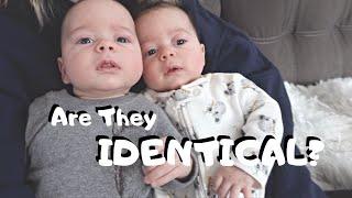 Identical or Fraternal Twins | Twin Mom