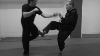 INTERNAL COMBAT (a combination of Xingyi and Bagua)