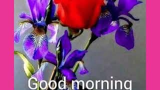 Good morning Flowers