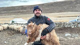 Living 7 Days With a Tribe of Tibetan Nomads