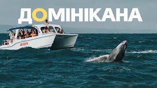 ДОМИНИКАНА | Горбатые киты и дикие пляжи. Путешествие из прошлой жизни