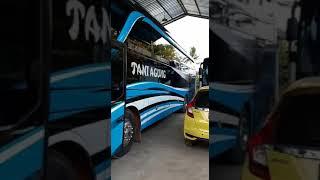 Big bus Pariwisata - Sewa Rental Mobil Banyuwangi - https://www.transjavanesia.net/