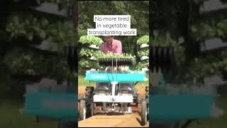 No more tired in vegetable transplanting work #shorts #agrimachinery