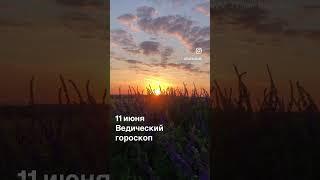 11 июня ведический гороскоп / астрология джйотиш прогноз на сегодня