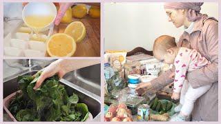 Kosher Grocery Haul and Produce Prep | How I Batch-Prep Fruits and Vegetables |  Family of 6