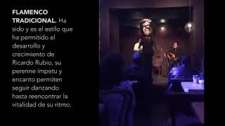 Flamenco Tradicional INTERflamenca 2019