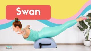 Swan on the Small Barrel | Online Pilates Classes