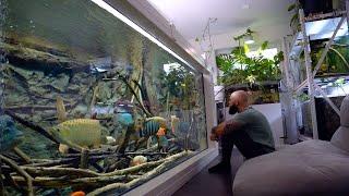 7.500l Monsterfish Community Tank | American Cichlids, Catfish, Arowana | DIY Plywood Aquarium