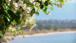 Ngala Beach Lodge, Lake Malawi