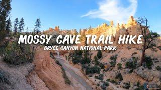 Bryce Canyon National Park - The Mossy Cave Trail Hike (Tropic Ditch Waterfall)